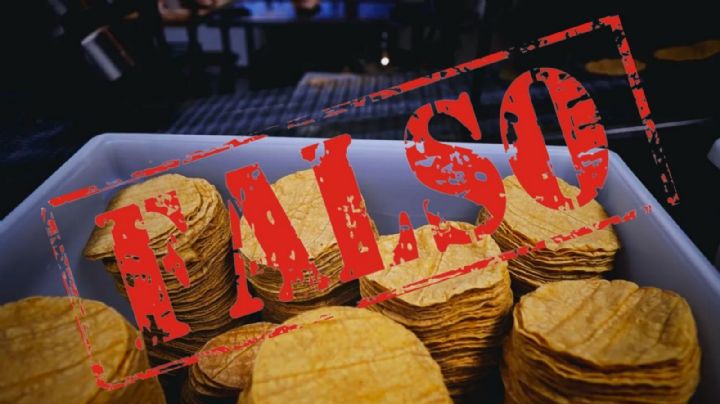 ¿Qué son las “tortillas pirata”? Te decimos cómo puedes identificarlas