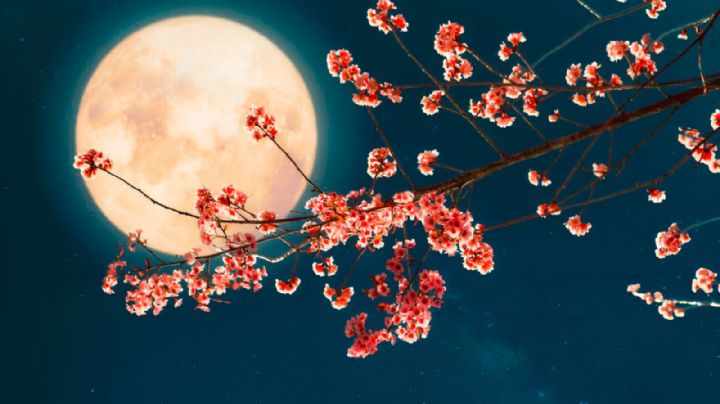 Luna Llena Mayo 2024: ¿Cuándo y a qué hora podrás verla en su punto máximo?