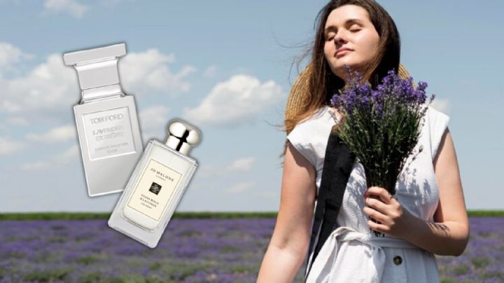 10 Perfumes de mujer con aroma a lavanda, ¡te sentirás en un campo de flores!