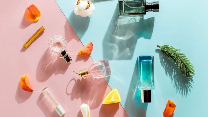¿Qué tipos de aromas en perfumes existen? Así se clasifican; estas son sus características de cada uno
