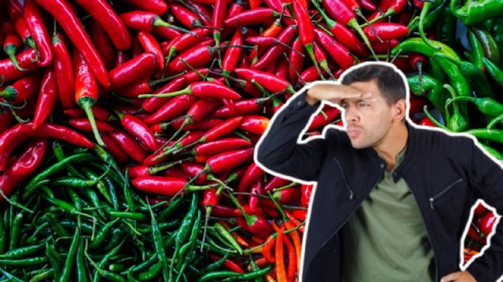 ¿Cuál es el chile más picante mexicano? Estos son las 5 más picantes de todo el mundo