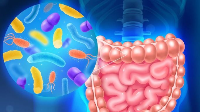 ¿Qué son probióticos y para qué sirven? Estos son sus beneficios para tratar enfermedades