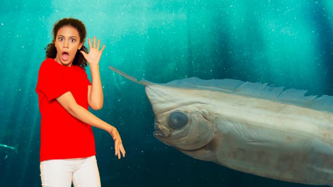 El pez remo, su relación con el 'fin del mundo' y otras cosas que debes saber