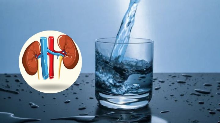 ¿Cuál es LA MEJOR agua mineral para los riñones según Profeco?