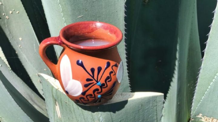 Festival del Pulque: Cuándo y cómo llegar al primer evento de esta bebida en Temetzontla