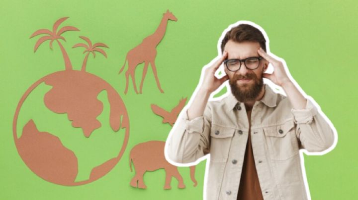 Inicia sexta extinción masiva: Estos son los animales en peligro, ¿se viene el Fin del Mundo?