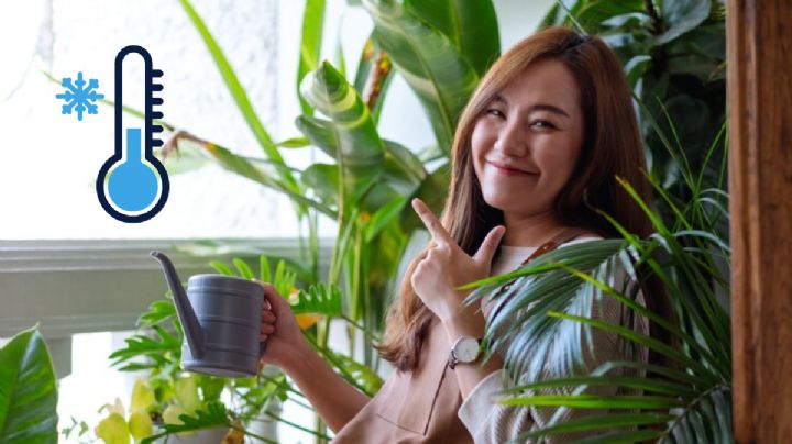 Así puedes refrescar tu hogar del calor y ahuyentar las malas energías, según rituales milenarios