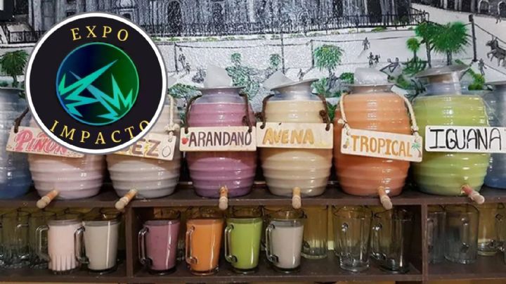 Pulque Fest 2024 en la CDMX: ¿Cuándo, dónde y qué sabores de los curados habrá?