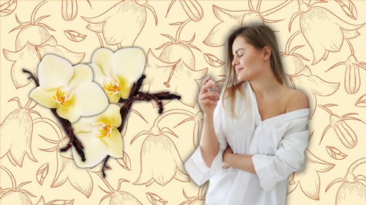 Perfumes para mujer con olor a vainilla, deliciosos y que no empalagan