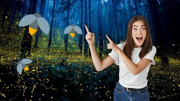 Festival de las Luciérnagas 2024: ¿Cuándo y en dónde se llevará a cabo?