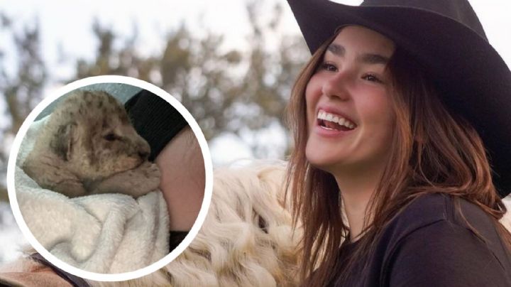 Emily Cinnamon, hija del Canelo Álvarez, presume león como mascota: ¿es legal en México?