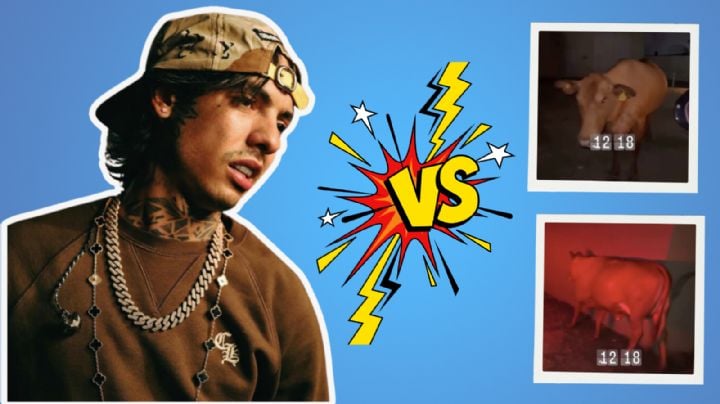 Natanael Cano protagoniza pelea con una vaca y pierde: “Te voy a comer”