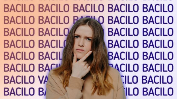 Sólo una persona con un coeficiente alto puede encontrar la palabra ‘Vacilo’ en menos de 5 segundos