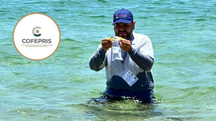 Vacaciones de verano 2024: Lista de las 18 playas con altos niveles de bacterias fecales