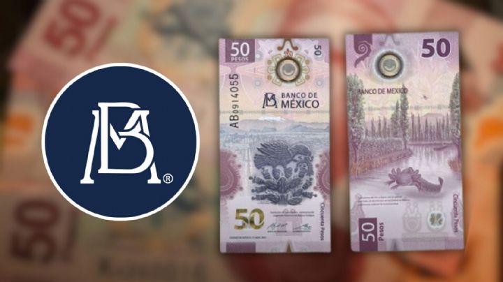 Estos son los billetes de 50 pesos más valiosos en México y sus características: ¿Tienes alguno?