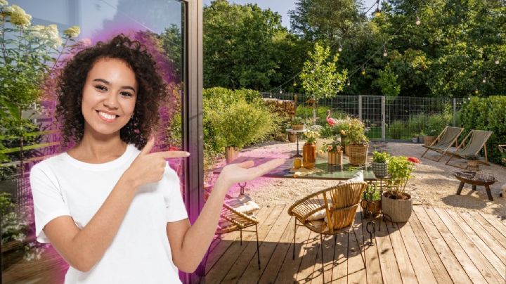 Cuál es la aromática planta mediterránea que mejor resiste el calor, ideal para decorar tu terraza