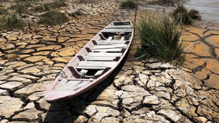 Escasez de agua en México: Estas son las 3 presas mexicanas que están al 0% de su capacidad