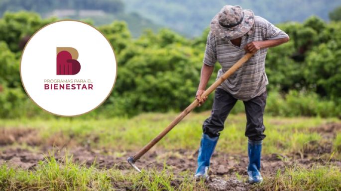 Producción para el Bienestar 2024: Este es el programa que te da hasta 24 MIL pesos; conoce los requisitos