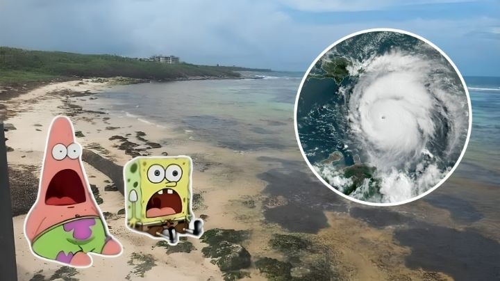 Huracán Beryl: El mar se aleja de las costas de Mahahual, ¿viene un tsunami?
