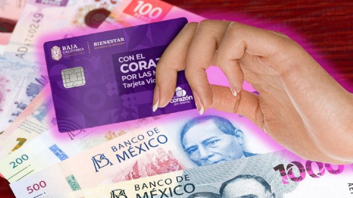 Tarjeta Violeta Bienestar 2024: Estos son los requisitos para mujeres y estados participantes