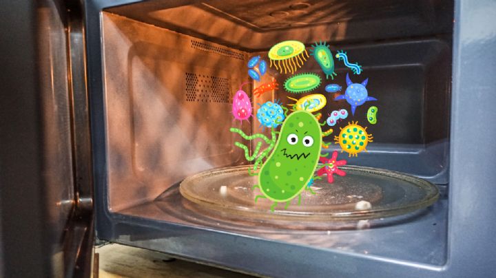 Estas son las bacterias que viven en el horno de microondas y resisten a la radiación