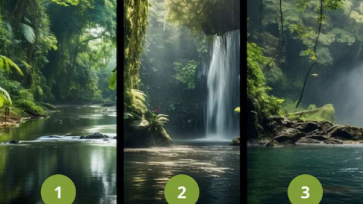 Dime que pantano eliges primero y te diré tus mayores debilidades