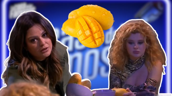 Mariana Echeverría protagoniza discusión con Briggitte y ahora tiene un peculiar apodo | VIDEO