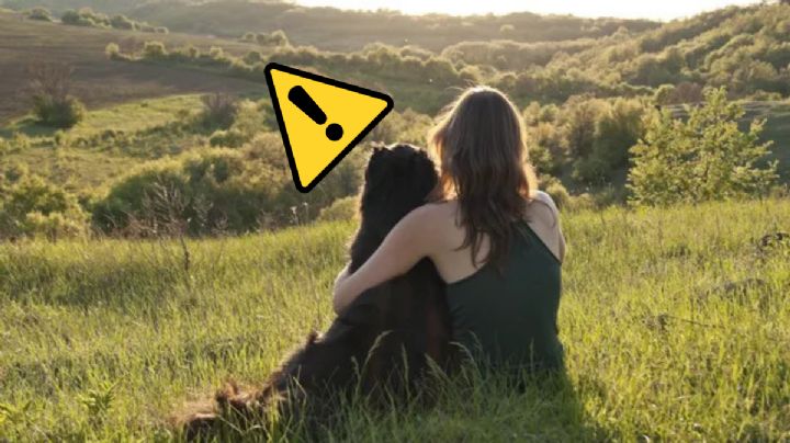 Un experto revela los motivos por el que no debes abrazar a los perros