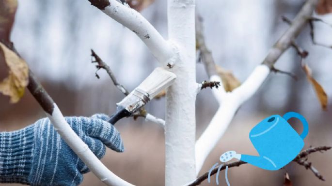 Cal casera: así puedes prepararla de forma sencilla