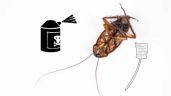 Foto ilustrativa de la nota titulada Di adiós a las cucarachas: el truco económico para eliminarlas de tu hogar que triunfa en España