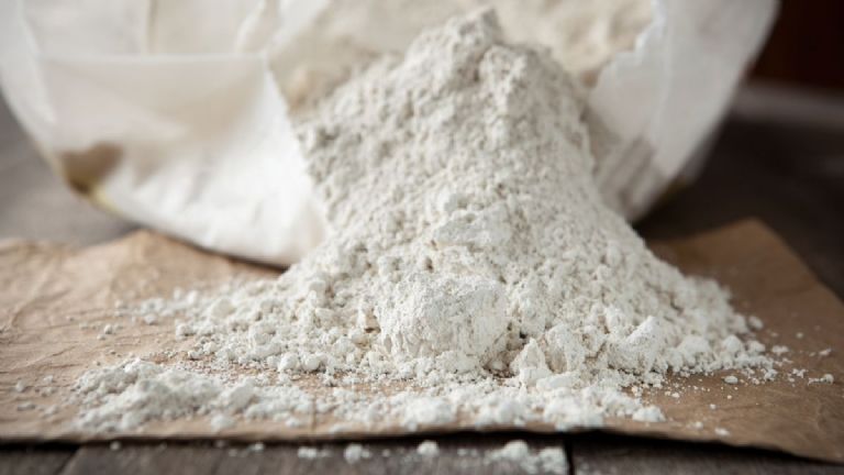 tierra de diatomeas para chinches