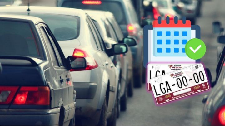 Reemplacamiento 2024: ¿Cómo agendar una cita si ya hice el pago? Esto es lo que debes hacer