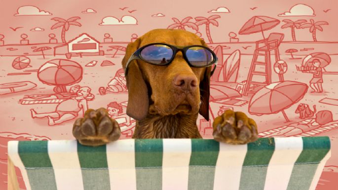 Sólo una mente con un coeficiente alto puede hallar la pelota en la playa en menos de 5 segundos