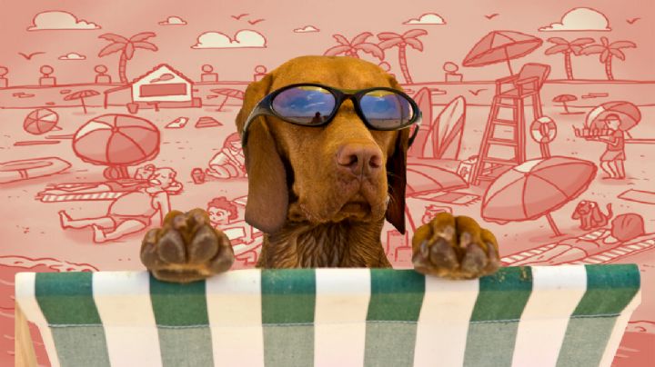 Sólo una mente con un coeficiente alto puede hallar la pelota en la playa en menos de 5 segundos