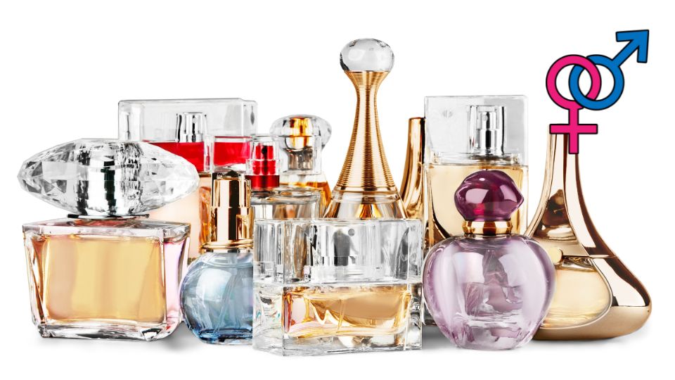 Fragancias unisex: Aromas frescos y sutiles para disfrutar de una sensación limpia y duradera.