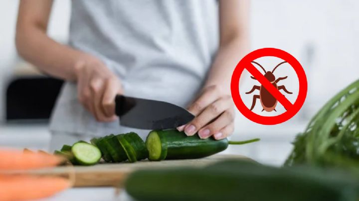 Esta es la verdura clave para ahuyentar las cucarachas de tu cocina