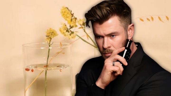 Perfumes para hombre que son perfectos para usar en temporada de otoño