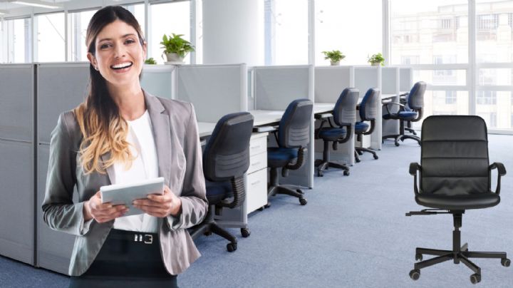 ¿Qué trabajadores NO tienen derecho a la Ley Silla y por qué?