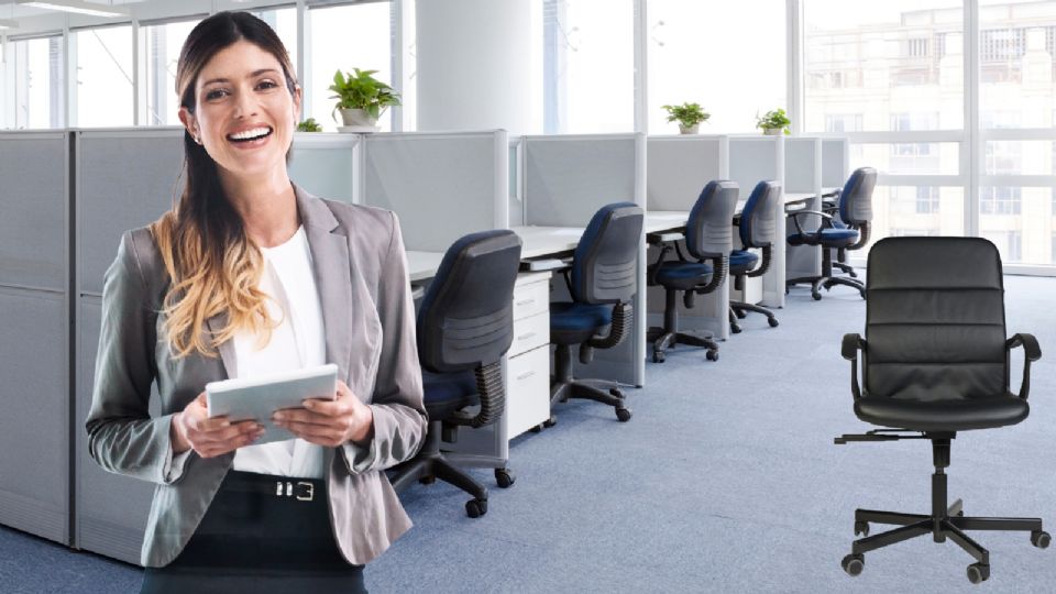 La Ley Silla entrará en vigor en este 2025