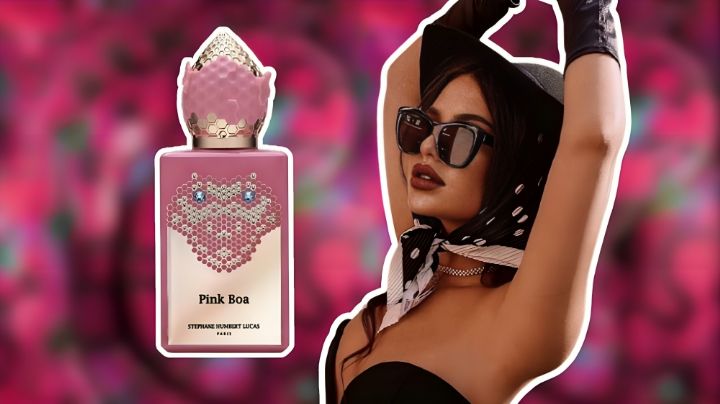 ¿A qué huele el perfume Pink Boa de Stephane Humbert Lucas y por qué es el regalo perfecto para San Valentín?