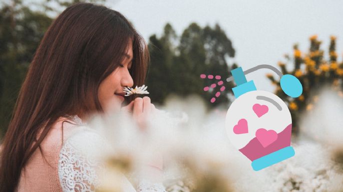 La psicología del perfume: ¿Qué emociones evocan las distintas fragancias?