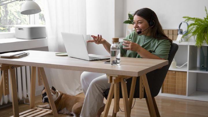 Así puedes encontrar trabajo rápido, ganar en dólares y sin gastar dinero