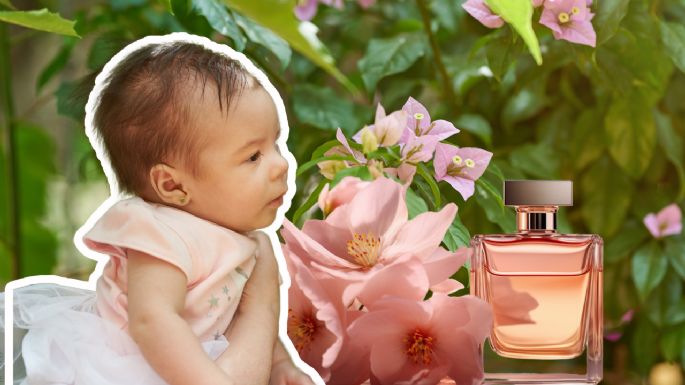¿Cuál es el mejor perfume para bebé? Top 10 con grandes opciones