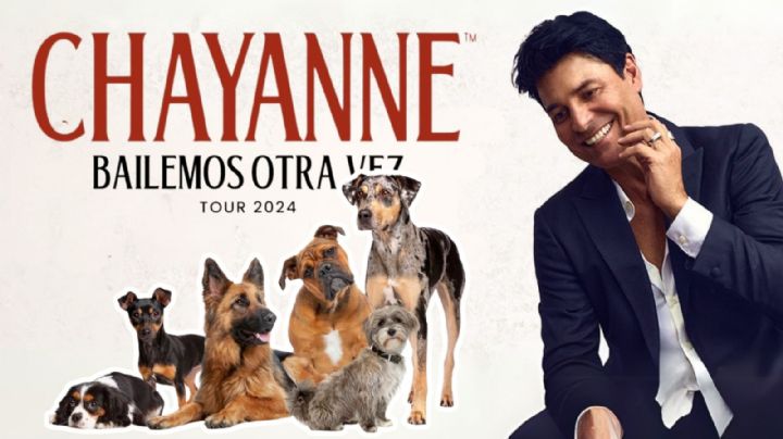 Regalan boletos para Chayanne en México; Así puedes conseguirlos