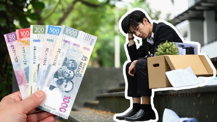 El trucazo para tramitar el seguro de desempleo en CDMX y ganar casi 10 mil pesos desde casa