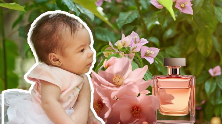 ¿Cuál es el mejor perfume para bebé? Top 10 con grandes opciones