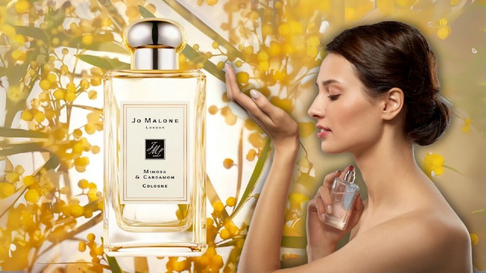 Perfume de Cardamomo ideal para mujeres exitosas