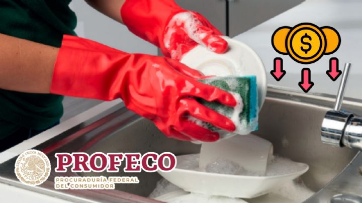 Las 5 fibras de cocina más económicas y resistentes, según Profeco