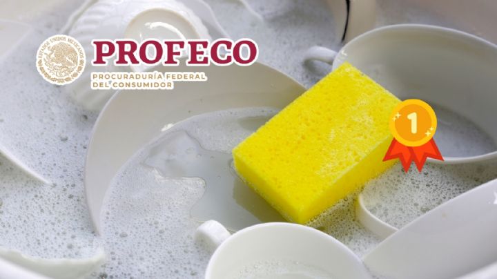 ¿Lavas los trastes en casa? Profeco revela cuál es la mejor esponja