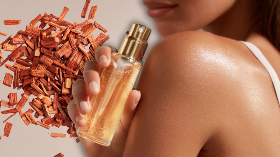 Los mejores perfumes de sándalo para mujer